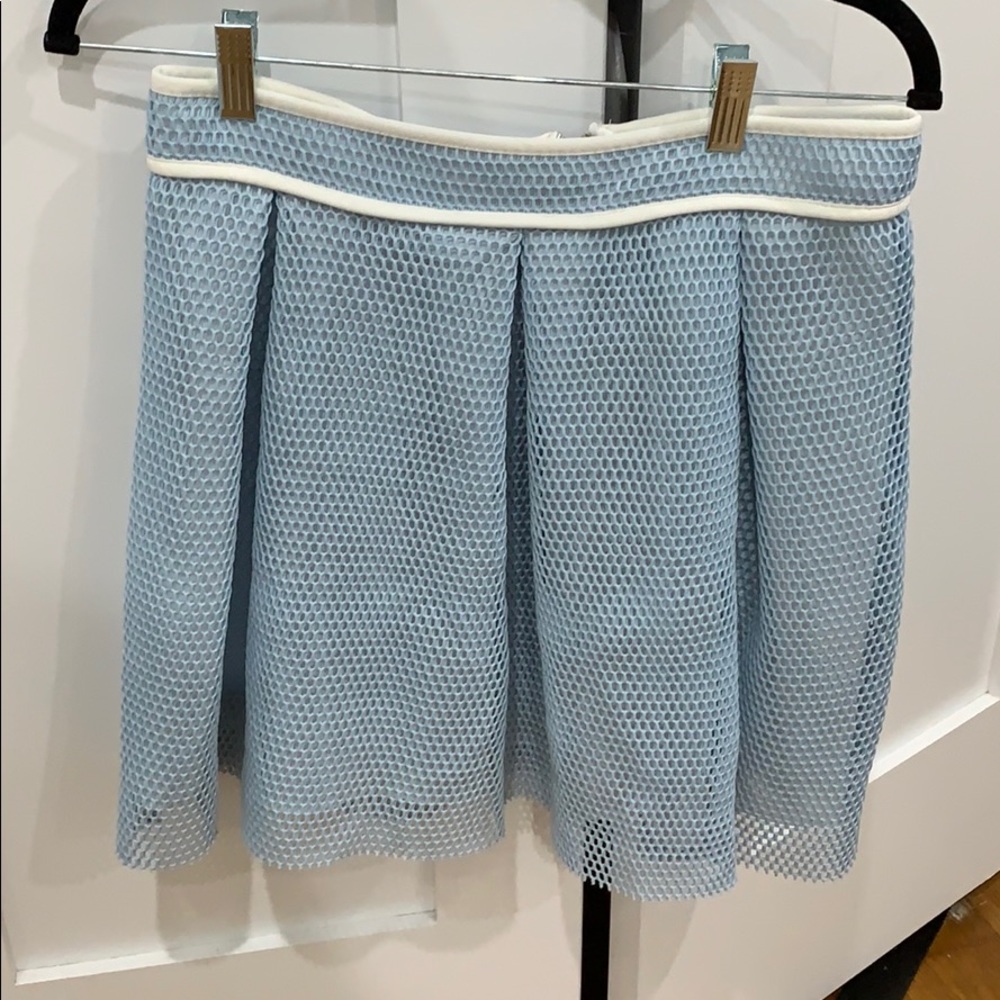 Endless rose blue skirt